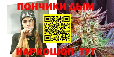 ГАЛЛЮЦИНОГЕННЫЕ ГРИБЫ Кингисепп