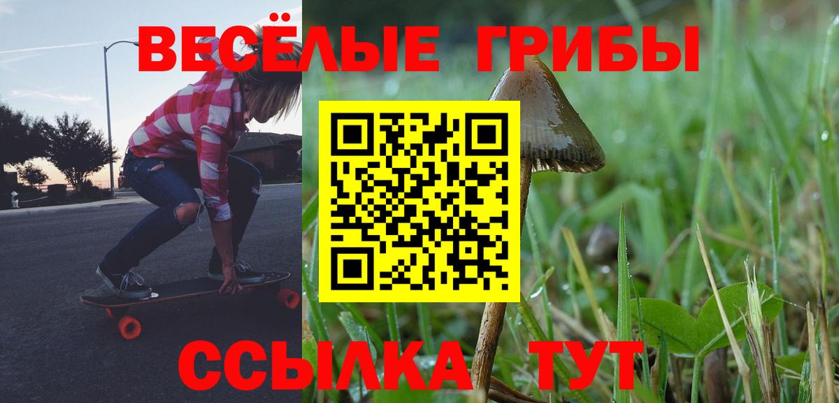 Галлюциногенные грибы Magic Shrooms Коряжма