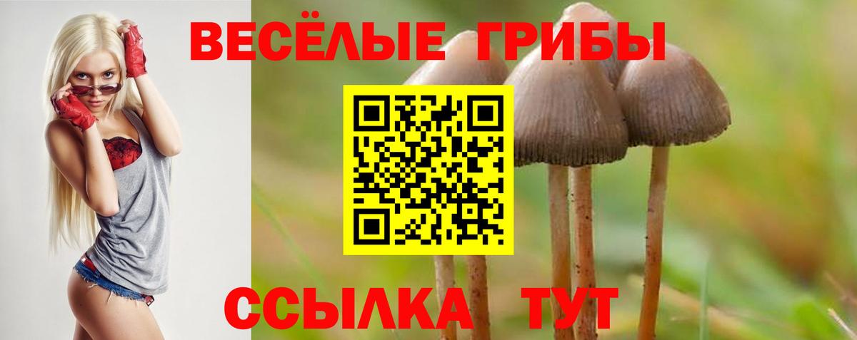 Галлюциногенные грибы мухоморы  Вход с VPN  где продают наркотики  Псилоцибиновые грибы мицелий  Коряжма 